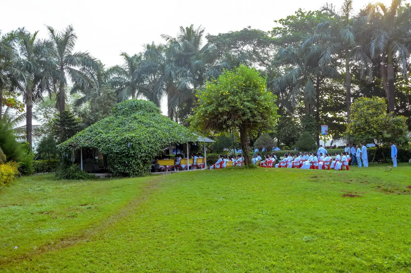 Peace Park
